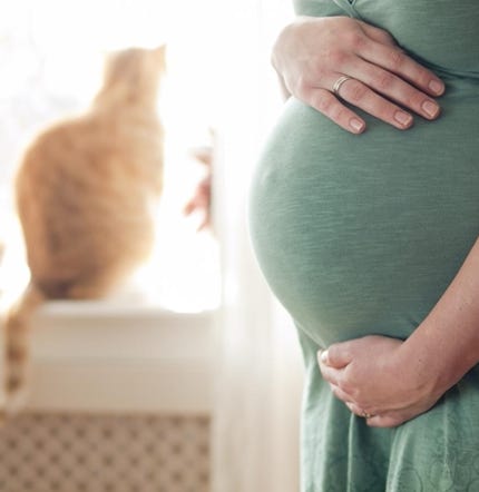 Le principali informazioni da sapere per prevenire la toxoplasmosi in gravidanza